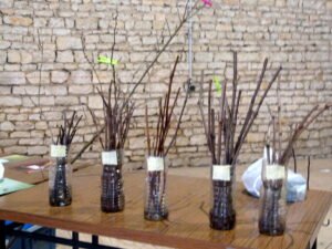 greffons prêts à l'emploi