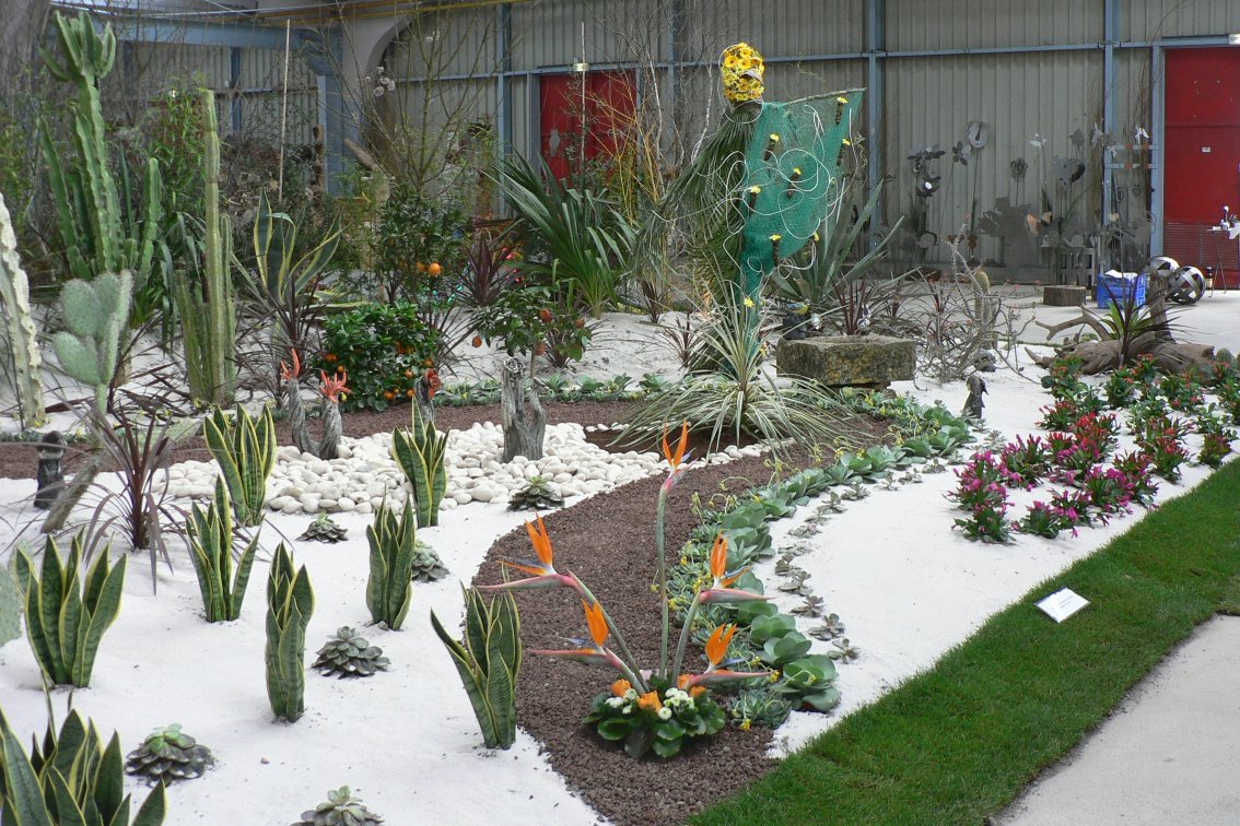 un massif de plantes de désert sur fond blanc