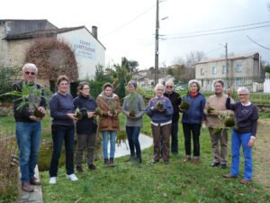 Dans le parc 10 adhérents montrent leurs œuvres après l'atelier kokedama