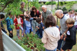 enfants accompagnés d'adultes en visite aux jardins potagers