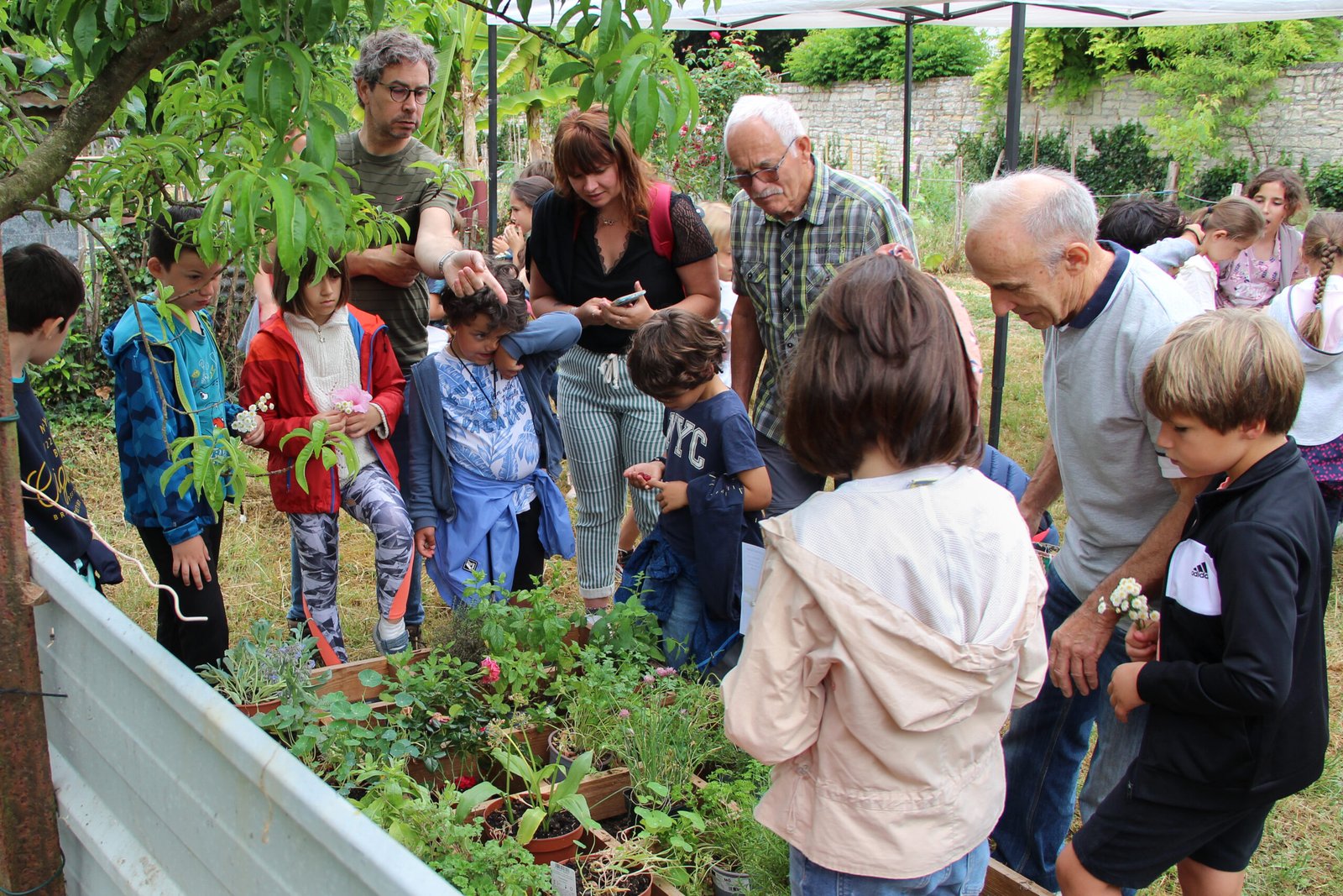 enfants accompagnés d'adultes en visite aux jardins potagers