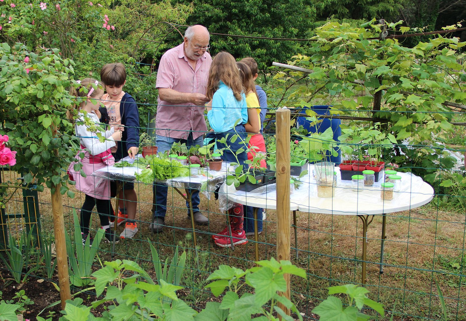 jean montre aux enfants les plantes de son jardin