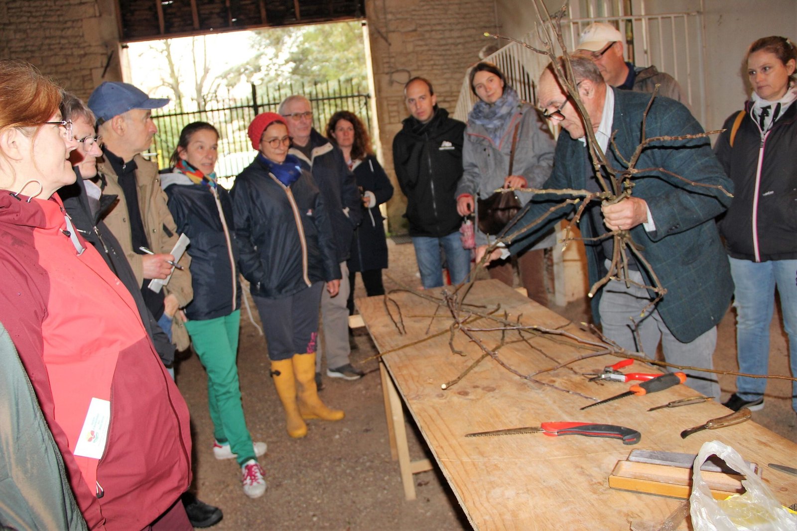 10 personnes devant une table a écouté les explications de greffage