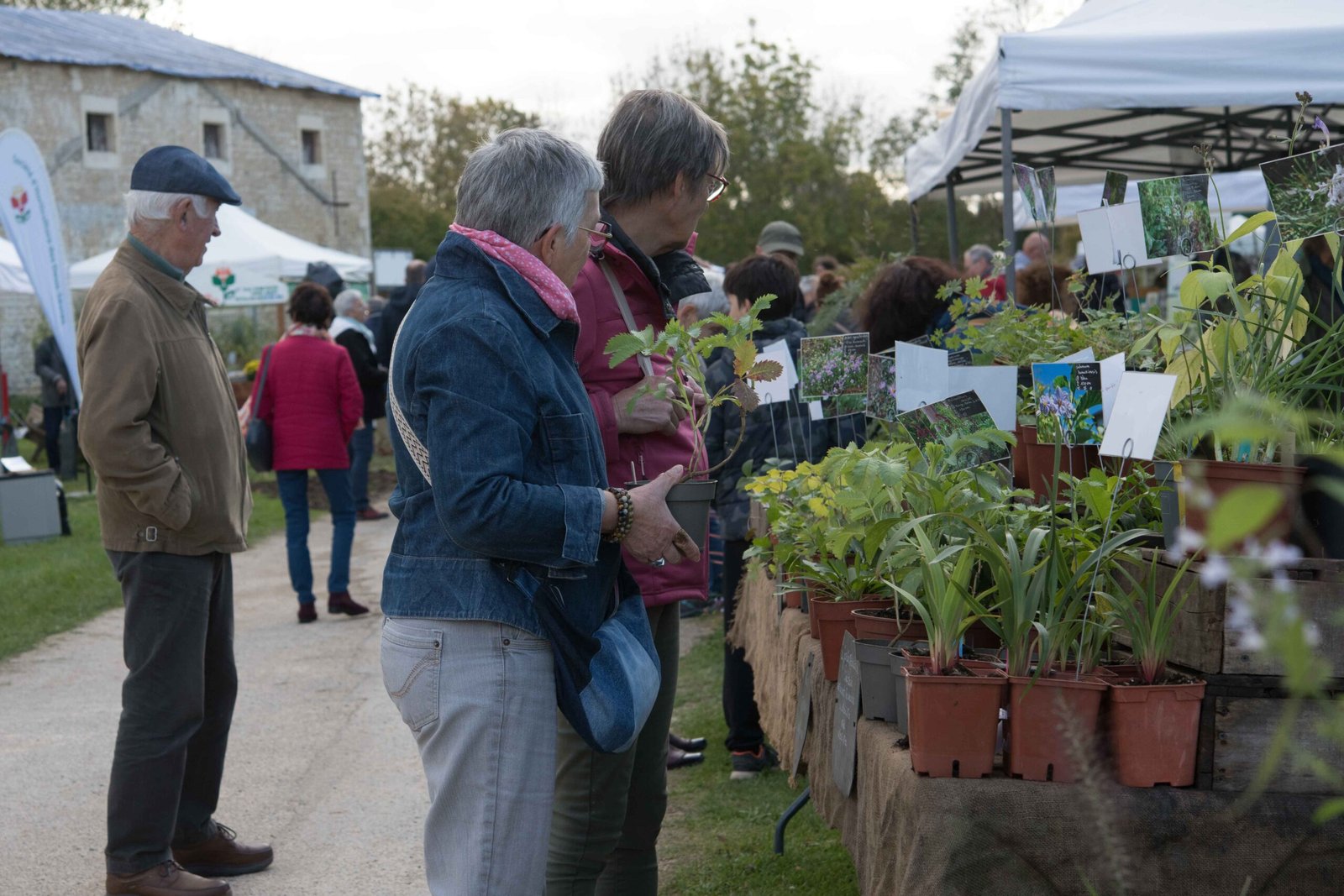 visiteuses hésitant sur le choix de plantes présentées en godet