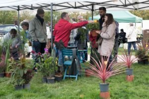 conseil de plantation donné par un pépiniériste à ses clients