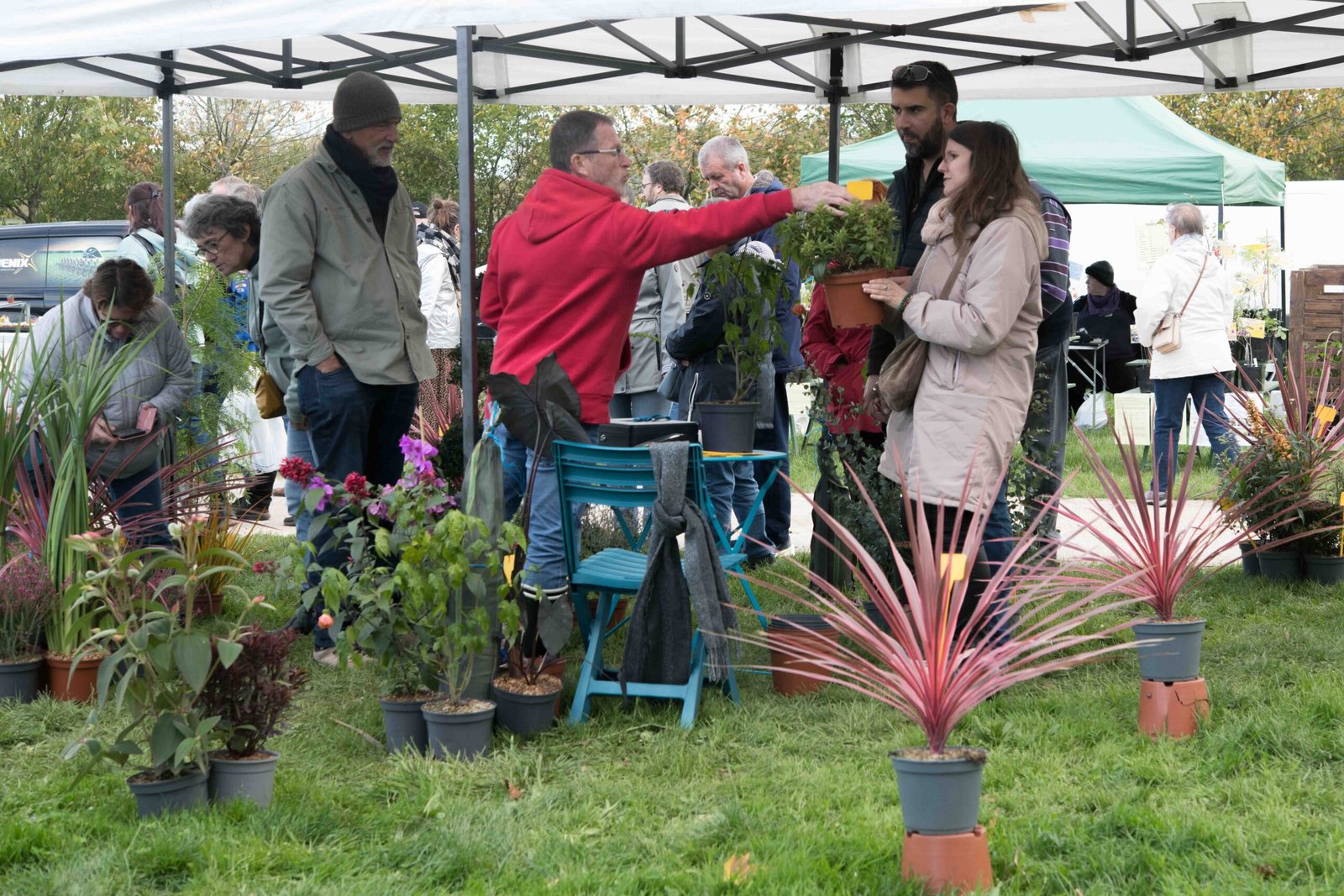 conseil de plantation donné par un pépiniériste à ses clients