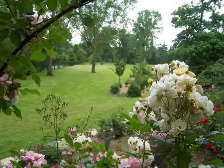 Conférence : 7 virages pour s&rsquo;adapter