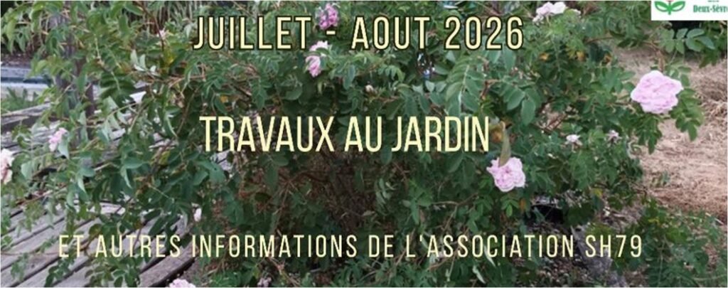 gazette-2026-07